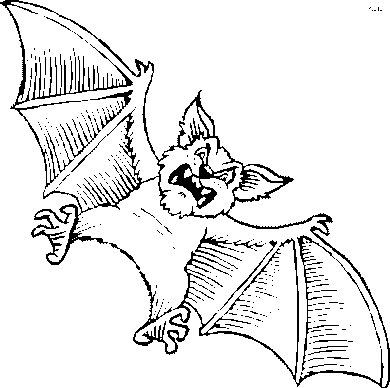 halloween bat coloring pages - wallpapers and images | wallpapers 