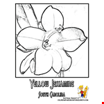 Yellow Iris Drawing Page