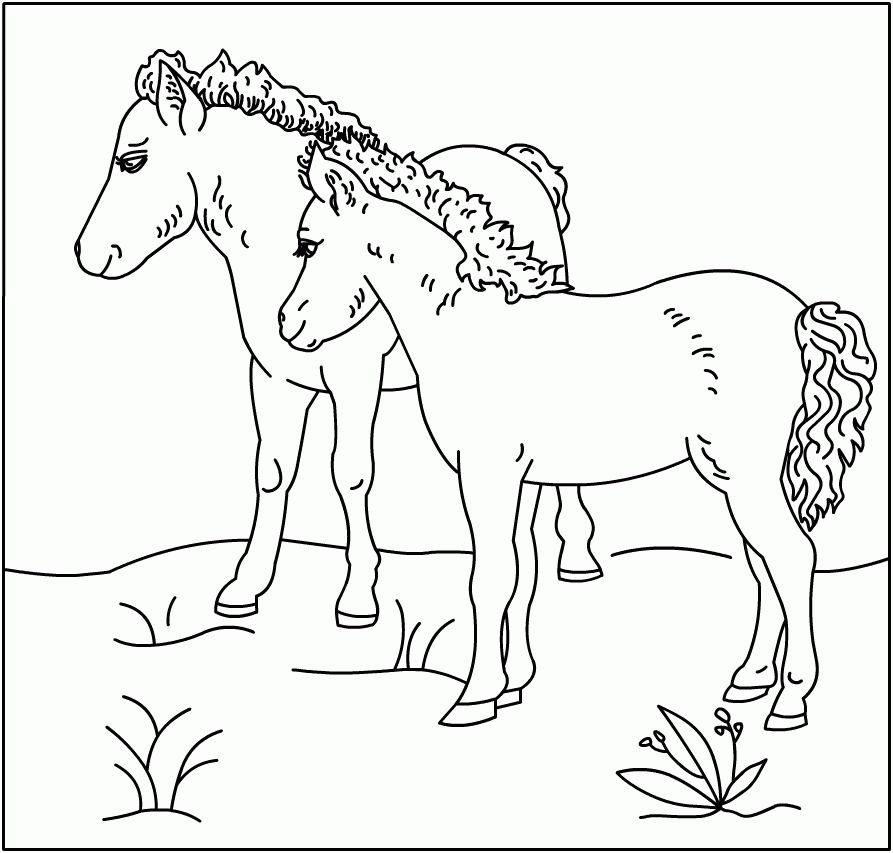 horse family drawing page