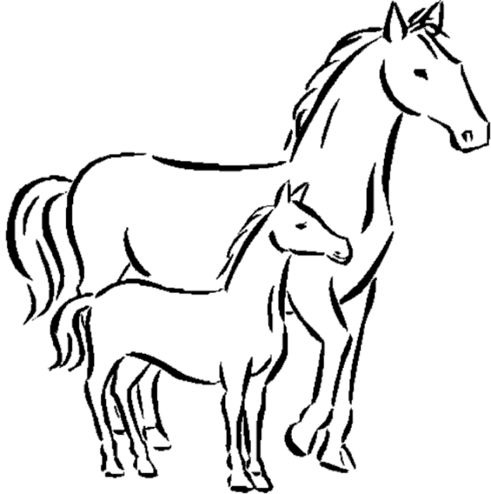 horse riding drawing sheet