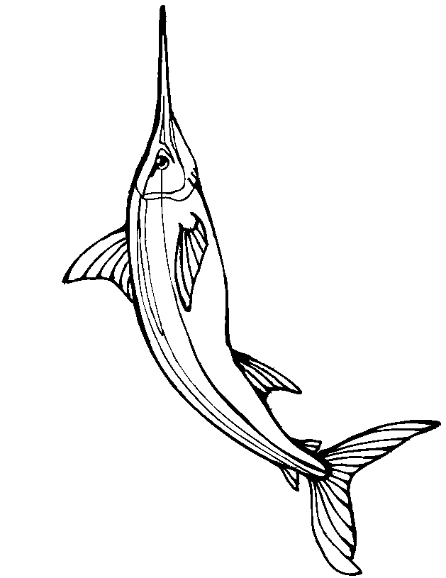 fish coloring pages to print 537 | free printable coloring pages