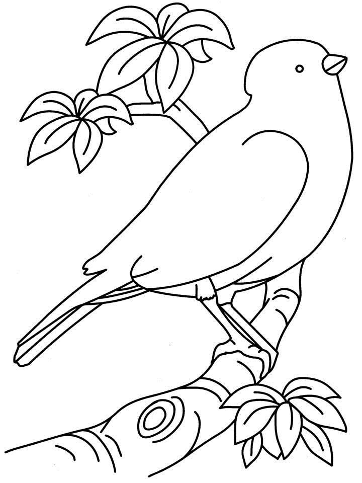 skeleton coloring pages | children coloring pages | printable 