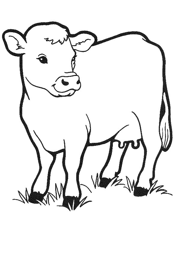 grinning cow coloring pages download free grinning cow coloring 