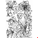 Barn Owl Coloring Page 