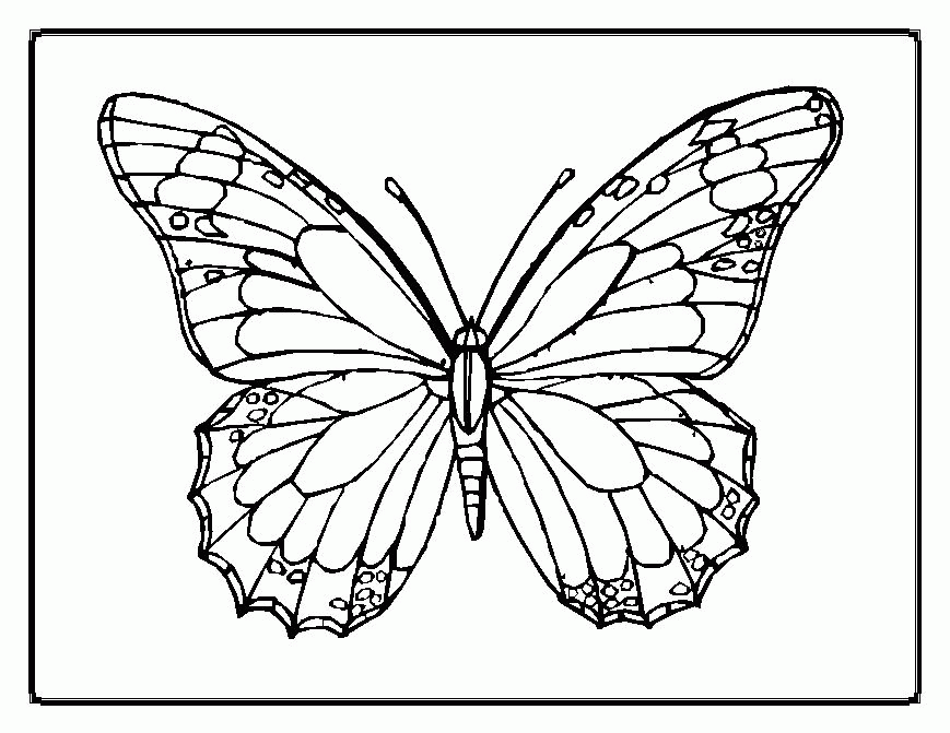 butterfly coloring pages - free printable coloring pages | free 