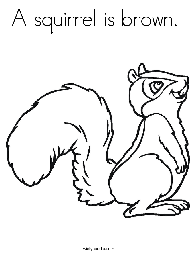 squirrel is brown.coloring pages | coloring pages